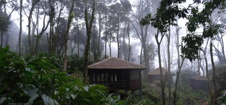 Wayanad honeymoon destination